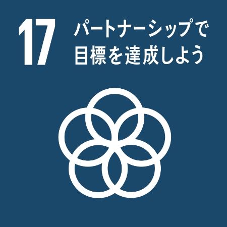 17：パートナーシップで目標を達成しよう