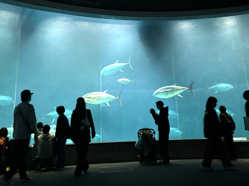 2025年5月日帰りプログラム「オモシロ★理科教室」の実地踏査を行いました！
